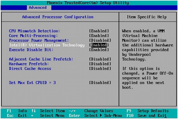 Turn Off Virtualization in BIOS
